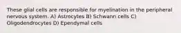 These glial cells are responsible for myelination in the peripheral nervous system. A) Astrocytes B) Schwann cells C) Oligodendrocytes D) Ependymal cells