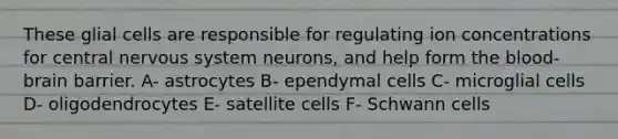 These glial cells are responsible for regulating ion concentrations for central nervous system neurons, and help form the blood-brain barrier. A- astrocytes B- ependymal cells C- microglial cells D- oligodendrocytes E- satellite cells F- Schwann cells