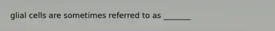 glial cells are sometimes referred to as _______