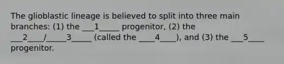 The glioblastic lineage is believed to split into three main branches: (1) the ___1_____ progenitor, (2) the ___2____/_____3_____ (called the ____4____), and (3) the ___5____ progenitor.