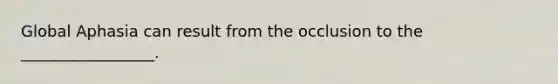 Global Aphasia can result from the occlusion to the _________________.