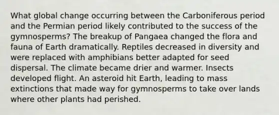 What global change occurring between the Carboniferous period and the Permian period likely contributed to the success of the gymnosperms? The breakup of Pangaea changed the flora and fauna of Earth dramatically. Reptiles decreased in diversity and were replaced with amphibians better adapted for seed dispersal. The climate became drier and warmer. Insects developed flight. An asteroid hit Earth, leading to mass extinctions that made way for gymnosperms to take over lands where other plants had perished.