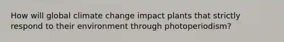 How will global climate change impact plants that strictly respond to their environment through photoperiodism?