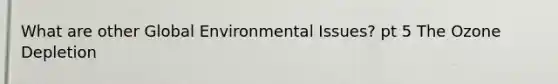 What are other Global Environmental Issues? pt 5 The Ozone Depletion