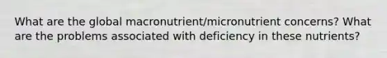 What are the global macronutrient/micronutrient concerns? What are the problems associated with deficiency in these nutrients?