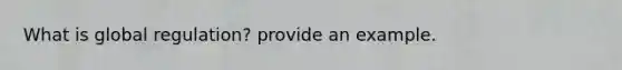 What is global regulation? provide an example.