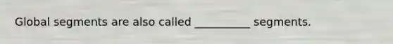 Global segments are also called __________ segments.