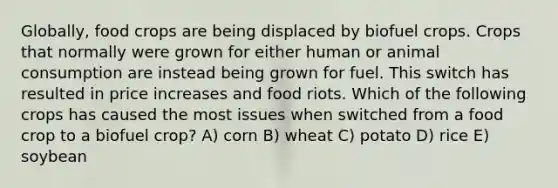 Globally, food crops are being displaced by biofuel crops. Crops that normally were grown for either human or animal consumption are instead being grown for fuel. This switch has resulted in price increases and food riots. Which of the following crops has caused the most issues when switched from a food crop to a biofuel crop? A) corn B) wheat C) potato D) rice E) soybean