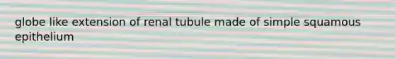 globe like extension of renal tubule made of simple squamous epithelium