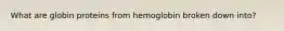 What are globin proteins from hemoglobin broken down into?