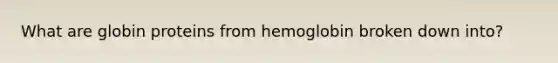 What are globin proteins from hemoglobin broken down into?