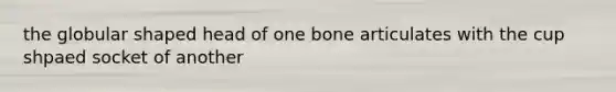 the globular shaped head of one bone articulates with the cup shpaed socket of another