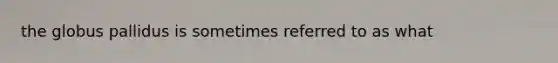the globus pallidus is sometimes referred to as what