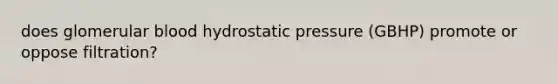 does glomerular blood hydrostatic pressure (GBHP) promote or oppose filtration?