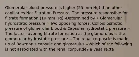 Glomerular blood pressure is higher (55 mm Hg) than other capillaries Net Filtration Pressure: The pressure responsible for filtrate formation (10 mm Hg) -Determined by ◦ Glomerular hydrostatic pressure ◦ Two opposing forces: Colloid osmotic pressure of glomerular blood & Capsular hydrostatic pressure --The factor favoring filtrate formation at the glomerulus is the glomerular hydrostatic pressure -- The renal corpuscle is made up of Bowman's capsule and glomerulus --Which of the following is not associated with the renal corpuscle? a vasa recta