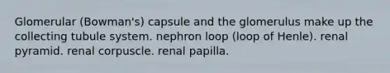 Glomerular (Bowman's) capsule and the glomerulus make up the collecting tubule system. nephron loop (loop of Henle). renal pyramid. renal corpuscle. renal papilla.