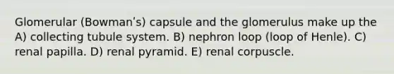 Glomerular (Bowmanʹs) capsule and the glomerulus make up the A) collecting tubule system. B) nephron loop (loop of Henle). C) renal papilla. D) renal pyramid. E) renal corpuscle.