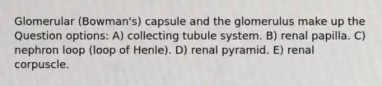 Glomerular (Bowman's) capsule and the glomerulus make up the Question options: A) collecting tubule system. B) renal papilla. C) nephron loop (loop of Henle). D) renal pyramid. E) renal corpuscle.