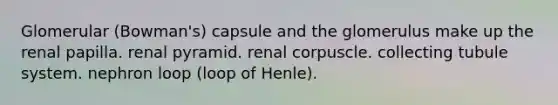 Glomerular (Bowman's) capsule and the glomerulus make up the renal papilla. renal pyramid. renal corpuscle. collecting tubule system. nephron loop (loop of Henle).