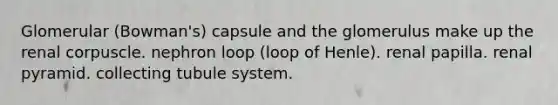 Glomerular (Bowman's) capsule and the glomerulus make up the renal corpuscle. nephron loop (loop of Henle). renal papilla. renal pyramid. collecting tubule system.