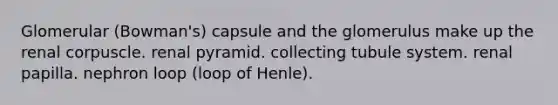 Glomerular (Bowman's) capsule and the glomerulus make up the renal corpuscle. renal pyramid. collecting tubule system. renal papilla. nephron loop (loop of Henle).