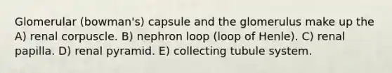 Glomerular (bowman's) capsule and the glomerulus make up the A) renal corpuscle. B) nephron loop (loop of Henle). C) renal papilla. D) renal pyramid. E) collecting tubule system.