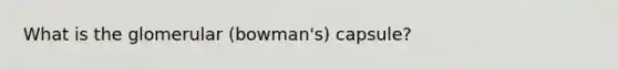 What is the glomerular (bowman's) capsule?