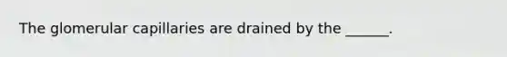 The glomerular capillaries are drained by the ______.