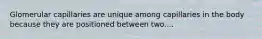 Glomerular capillaries are unique among capillaries in the body because they are positioned between two....