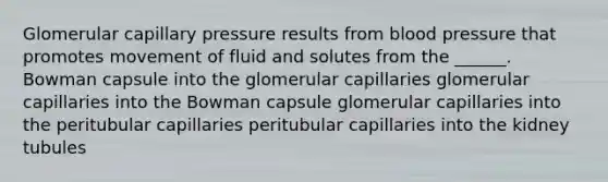 Glomerular capillary pressure results from blood pressure that promotes movement of fluid and solutes from the ______. Bowman capsule into the glomerular capillaries glomerular capillaries into the Bowman capsule glomerular capillaries into the peritubular capillaries peritubular capillaries into the kidney tubules