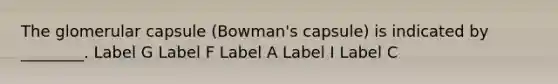 The glomerular capsule (Bowman's capsule) is indicated by ________. Label G Label F Label A Label I Label C