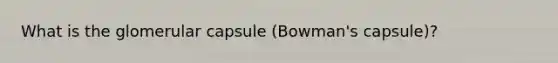 What is the glomerular capsule (Bowman's capsule)?