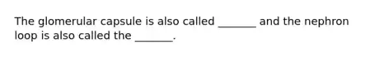 The glomerular capsule is also called _______ and the nephron loop is also called the _______.