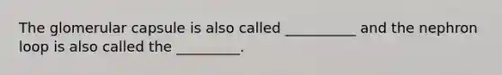 The glomerular capsule is also called __________ and the nephron loop is also called the _________.