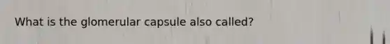 What is the glomerular capsule also called?