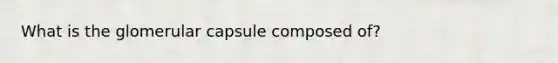 What is the glomerular capsule composed of?