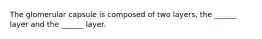 The glomerular capsule is composed of two layers, the ______ layer and the ______ layer.
