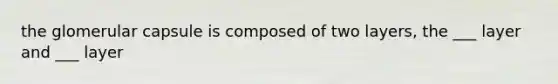 the glomerular capsule is composed of two layers, the ___ layer and ___ layer