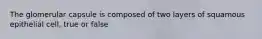 The glomerular capsule is composed of two layers of squamous epithelial cell, true or false