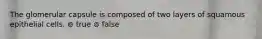 The glomerular capsule is composed of two layers of squamous epithelial cells. ⊚ true ⊚ false