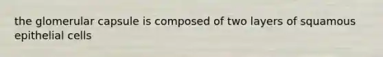 the glomerular capsule is composed of two layers of squamous epithelial cells