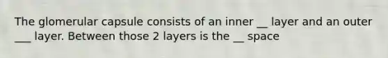 The glomerular capsule consists of an inner __ layer and an outer ___ layer. Between those 2 layers is the __ space