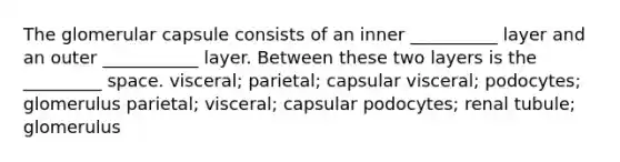 The glomerular capsule consists of an inner __________ layer and an outer ___________ layer. Between these two layers is the _________ space. visceral; parietal; capsular visceral; podocytes; glomerulus parietal; visceral; capsular podocytes; renal tubule; glomerulus