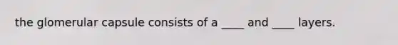 the glomerular capsule consists of a ____ and ____ layers.