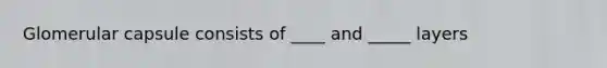 Glomerular capsule consists of ____ and _____ layers