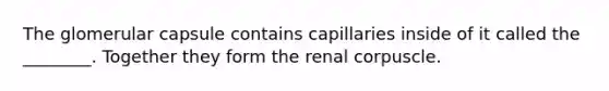 The glomerular capsule contains capillaries inside of it called the ________. Together they form the renal corpuscle.