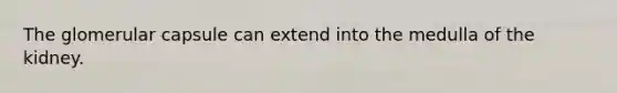 The glomerular capsule can extend into the medulla of the kidney.