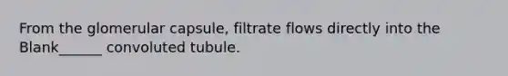 From the glomerular capsule, filtrate flows directly into the Blank______ convoluted tubule.