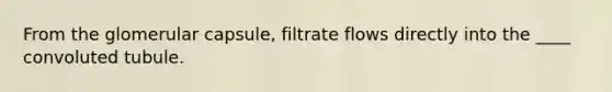 From the glomerular capsule, filtrate flows directly into the ____ convoluted tubule.