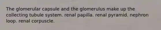 The glomerular capsule and the glomerulus make up the collecting tubule system. renal papilla. renal pyramid. nephron loop. renal corpuscle.